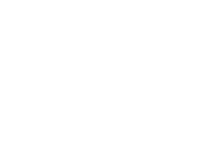 RebelRoam logo